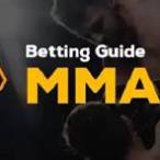 how to bet on mma fights online